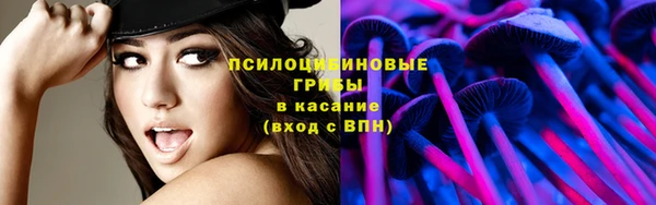 скорость Каменногорск