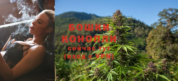скорость Каменногорск