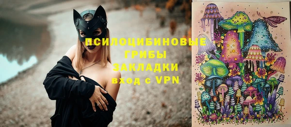 скорость Каменногорск