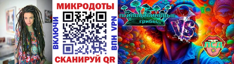 Купить  Обь  Галлюциногенные грибы Cubensis 